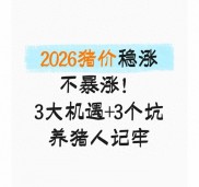 2026年养猪行情趋势及机遇风险全解析，养猪人必看