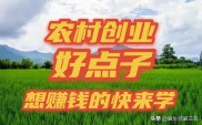 农村创业好门路，养殖土鸡及其他赚钱项目大盘点