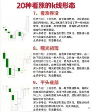 炒股新手必看！快速上手股市的清晰高效学习路径与方法