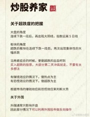 2010年炒股养家首篇理论文：信念、模式及操作感悟分享