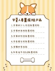 华夏保险产品线广泛，覆盖人寿、健康、意外伤害等多领域