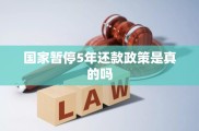 暂停5年还款政策是真的吗？政策背景目的全解析