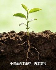 资金不足10万必看：炒股守纪律不折腾，MACD回踩法PDF