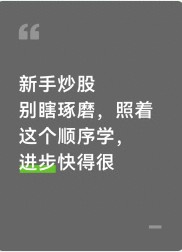 炒股自学顺序大公开！新手避坑指南，3个月建立交易思路