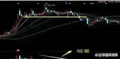 巴菲特A股投资方法_长期投资策略_以下关于a股现金