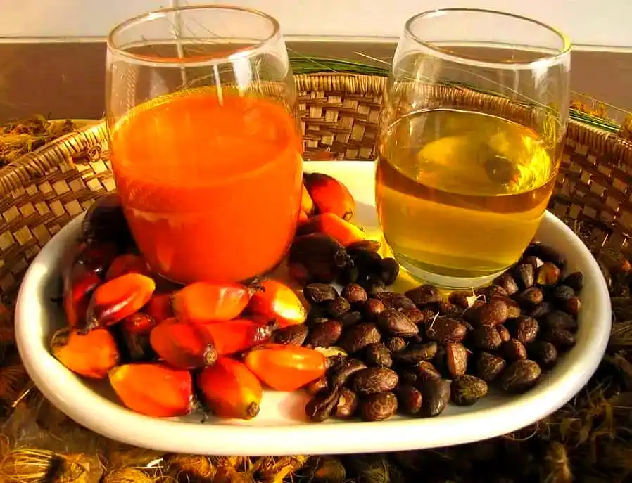 何俊期货交易生涯_期货日内交易高手故事_何俊短线交易技巧