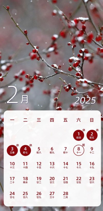 2025年春节放假安排_2025全年放假调休时间_期货春节放假安排2025