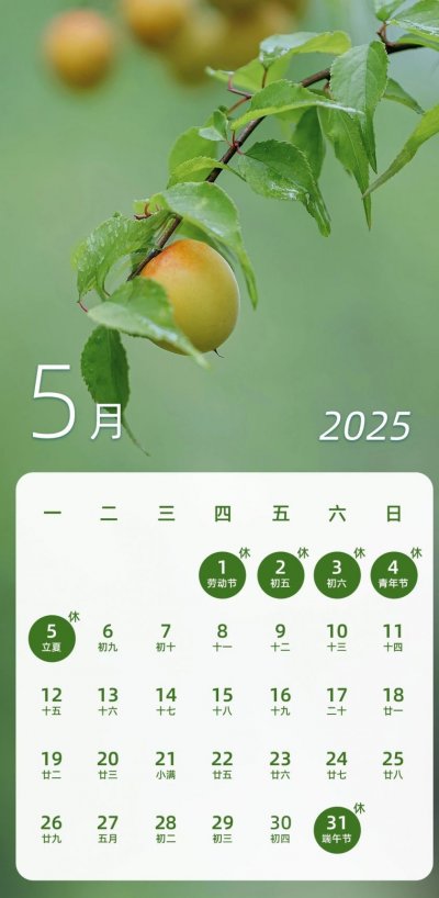 2025全年放假调休时间_期货春节放假安排2025_2025年春节放假安排