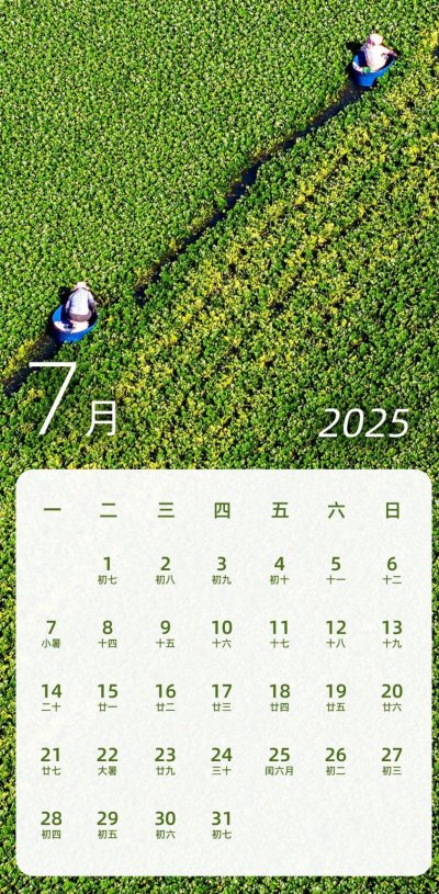 2025全年放假调休时间_期货春节放假安排2025_2025年春节放假安排