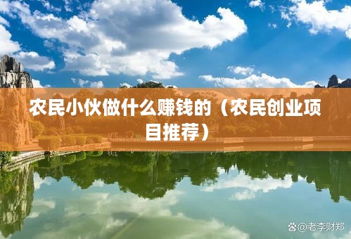 农民小伙做什么赚钱的（农民创业项目推荐）