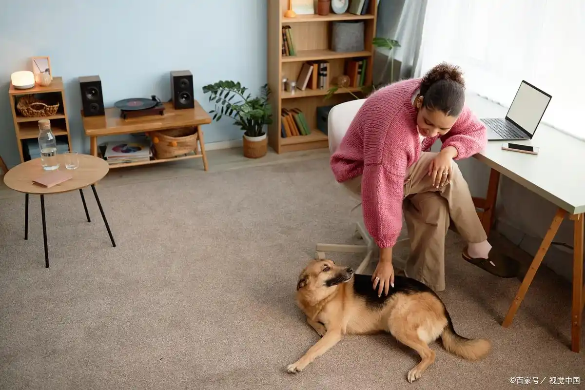 正规兼职副业_打工人增加收入_兼职做什么好比较赚钱