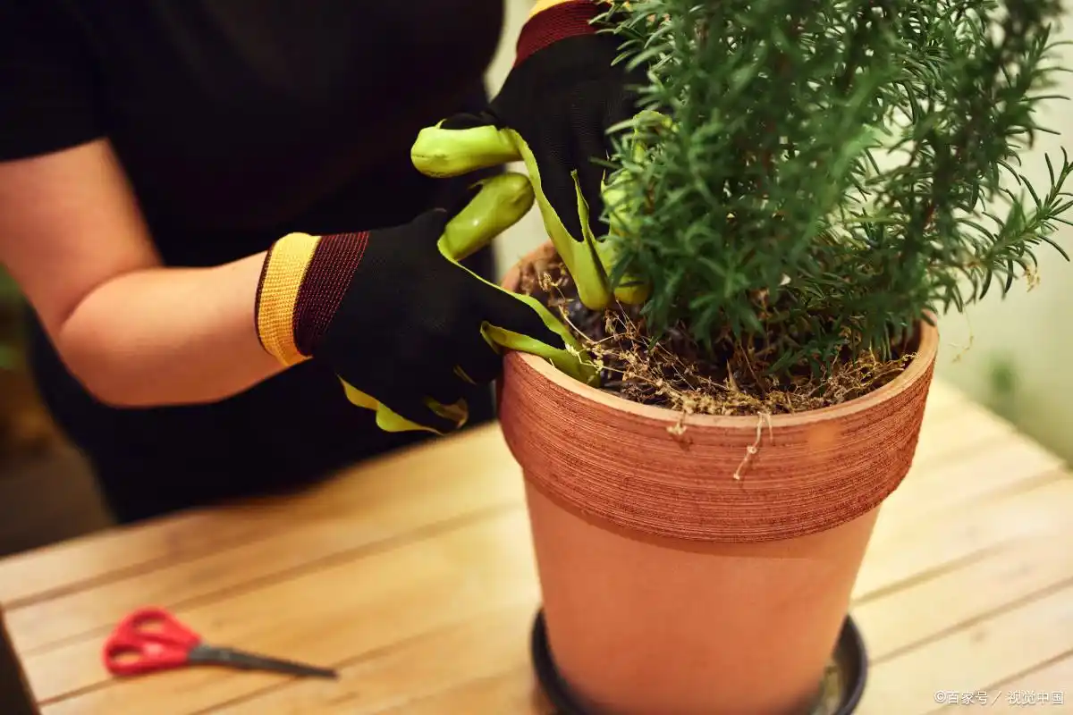 兼职做什么好比较赚钱_手工艺品制作销售_在家赚钱兼职