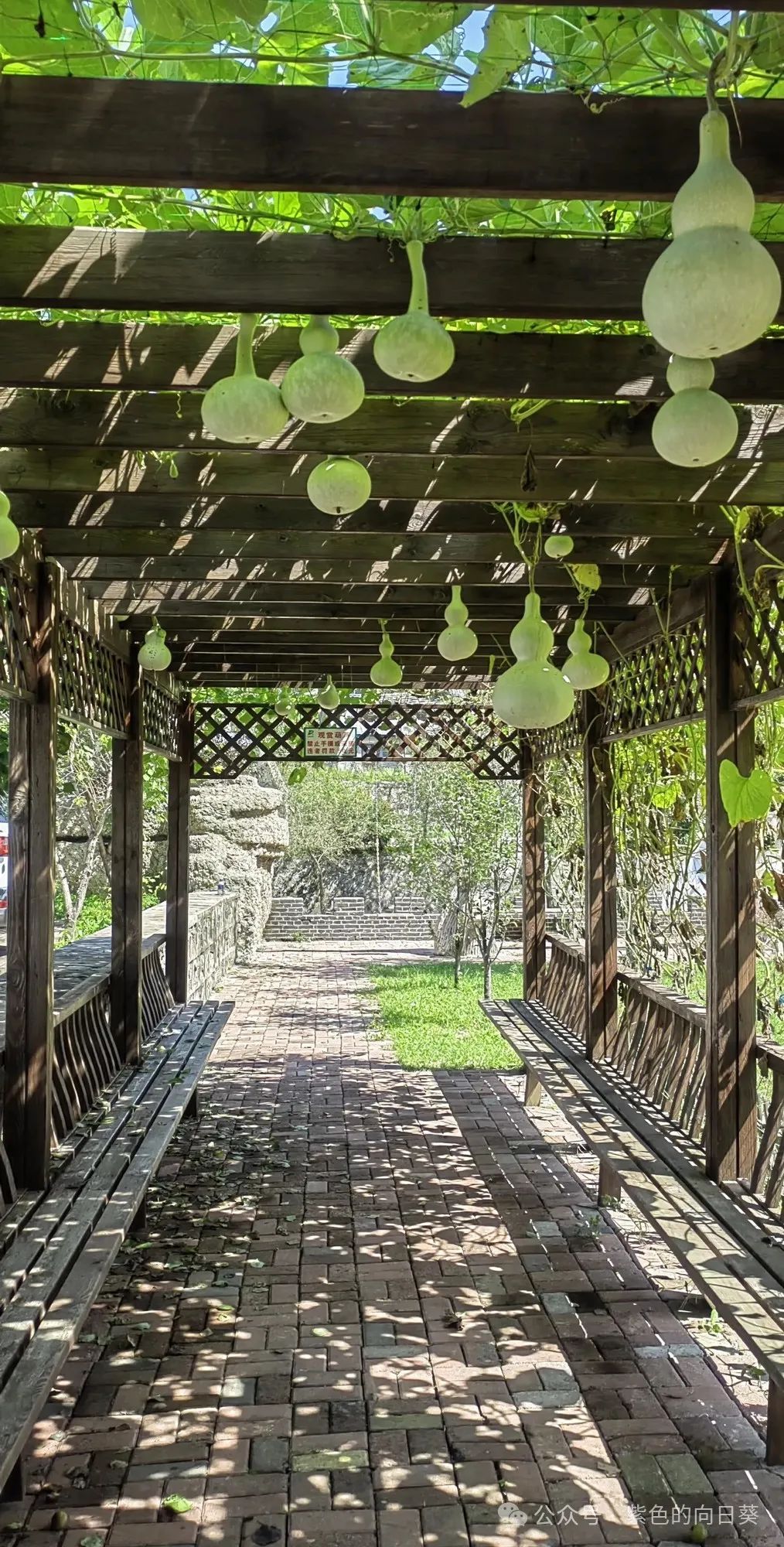 定期理财收益率是多少_定期理财产品收益_定期理财收益率