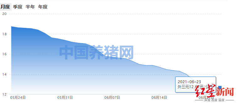 猪肉价格走势图