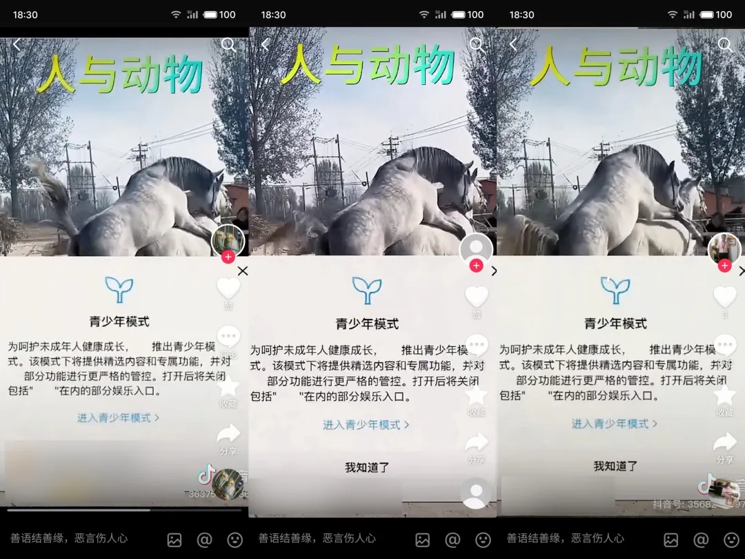 过度营销类内容规范_抖音同质化网络水军治理_网赚流量