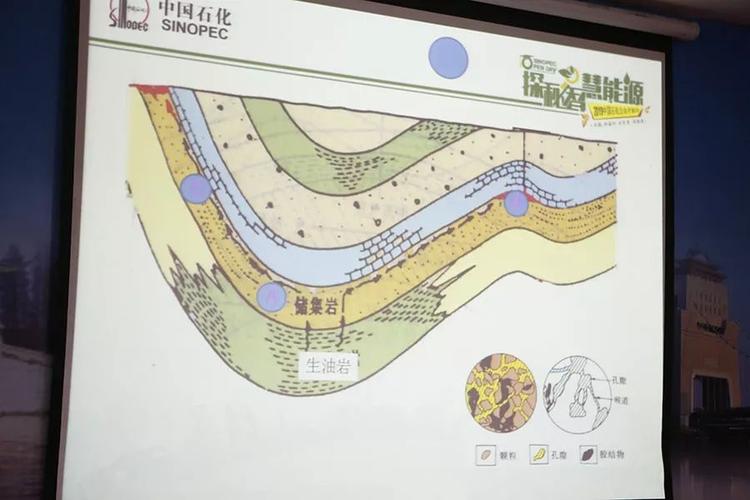 石油骚动专家级人物能力_石油骚动专家难度通关心得_大学生炒股心得总结