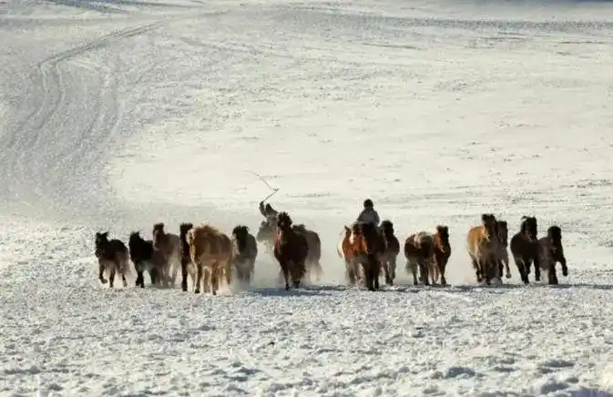 炒股超短线技巧_投资心态与执行力_短线交易技巧