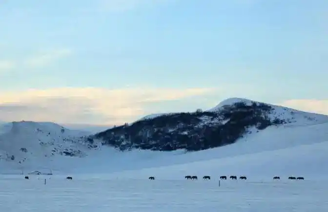 短线交易技巧_投资心态与执行力_炒股超短线技巧