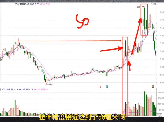炒股实战技巧_高开低走大阴线洗盘识别_量能位置支撑位判断