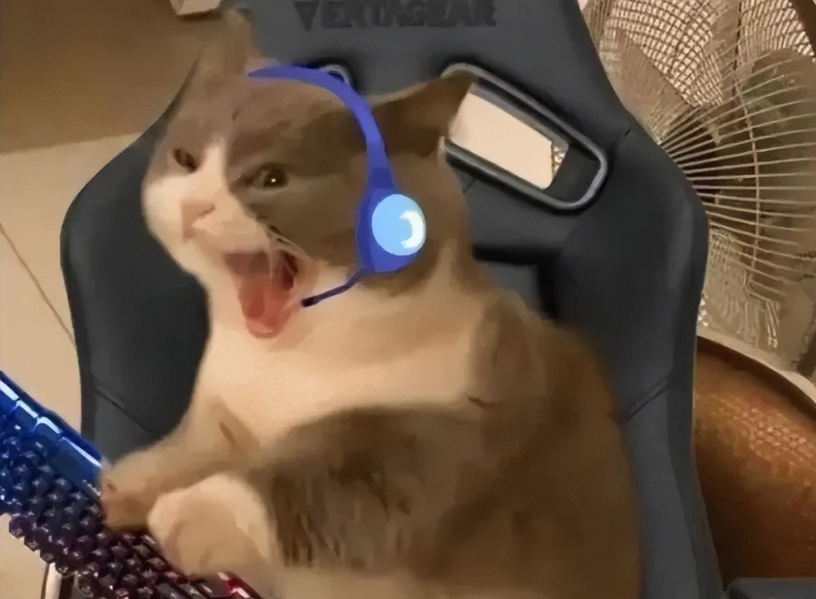 炒股的电脑2个显示器_炒股装备外设市场分析_牛市A股投资热潮