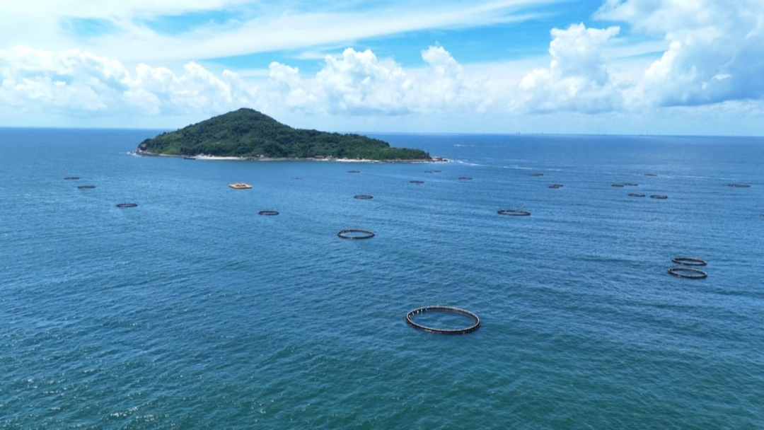 海洋金融专业化服务矩阵_阳江贷款_广东海洋养殖装备金融支持
