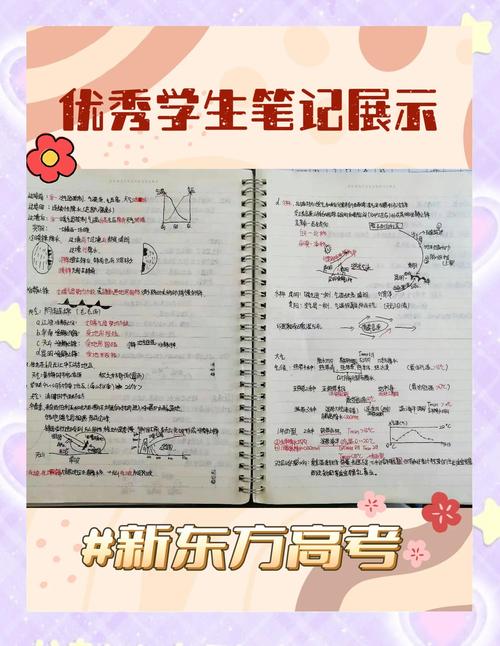 期货交易基础知识_期货交易风控能力_李雁鸣期货篇