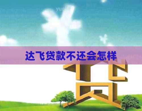 达飞贷款不还会怎样