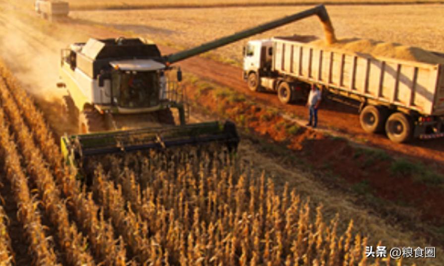 豆油现货价格走势_今日毛豆油行情_国内油脂市场分析