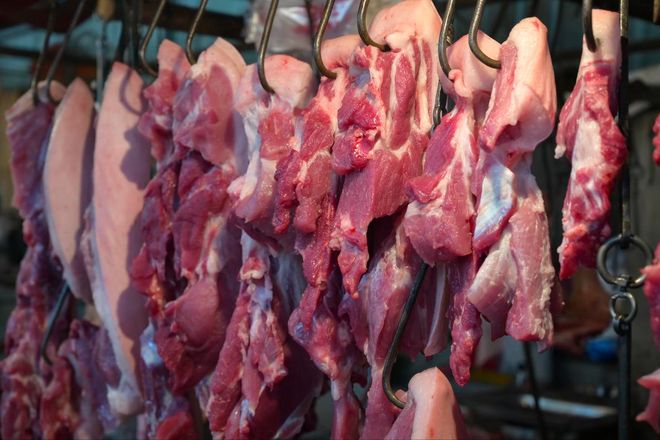 2026年生猪行情_猪肉价格持续走低_生猪产能过剩母猪存栏高